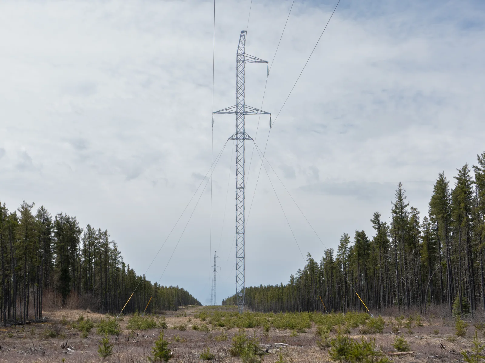 Transmission right-of-way corridor with steel lattice towers running through forest