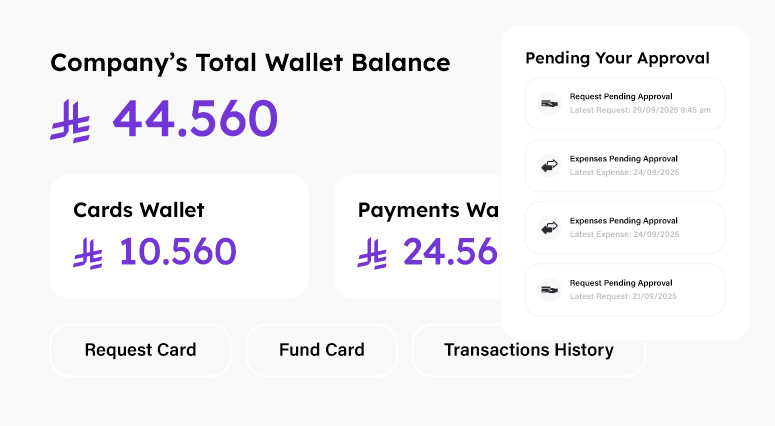 Company Total Wallet Balance