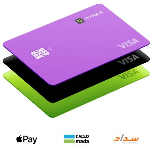 Messala Card Comprehensive financial solutions for managing company finances | Moola