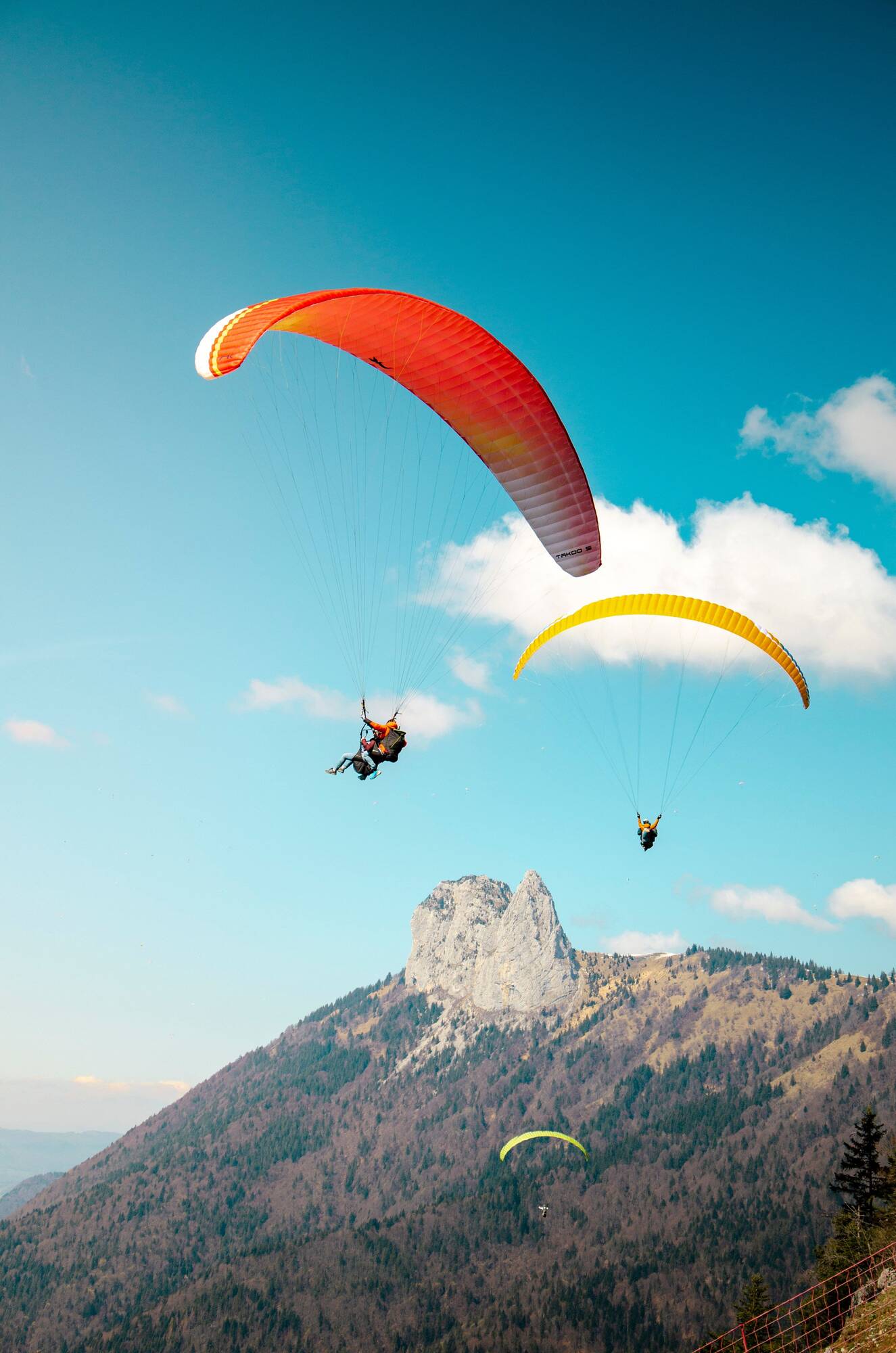 Deux parapentistes volent au-dessus d'une montagne boisée sous un ciel bleu clair.