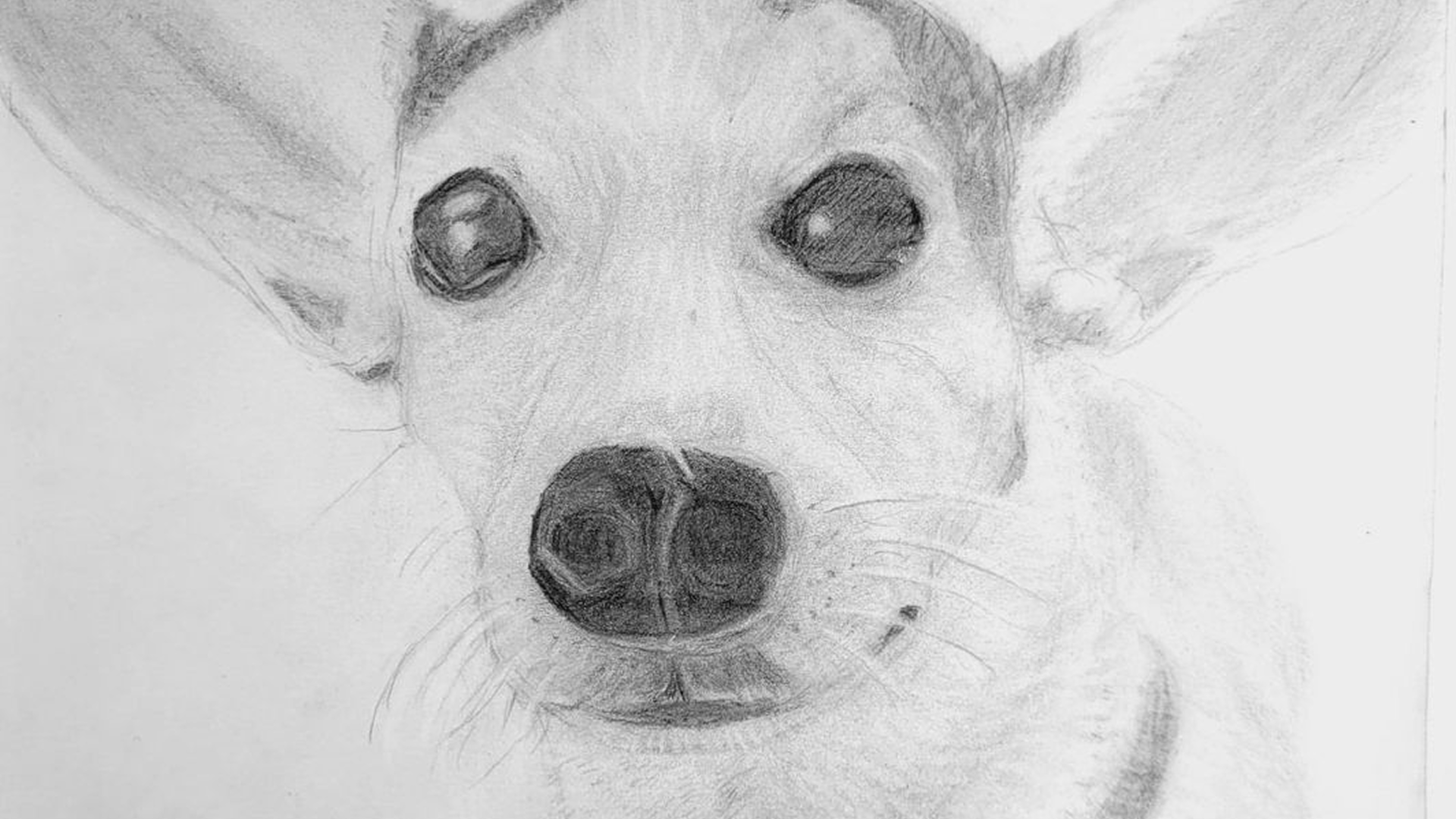 Beispielfoto 3 (Nachher)