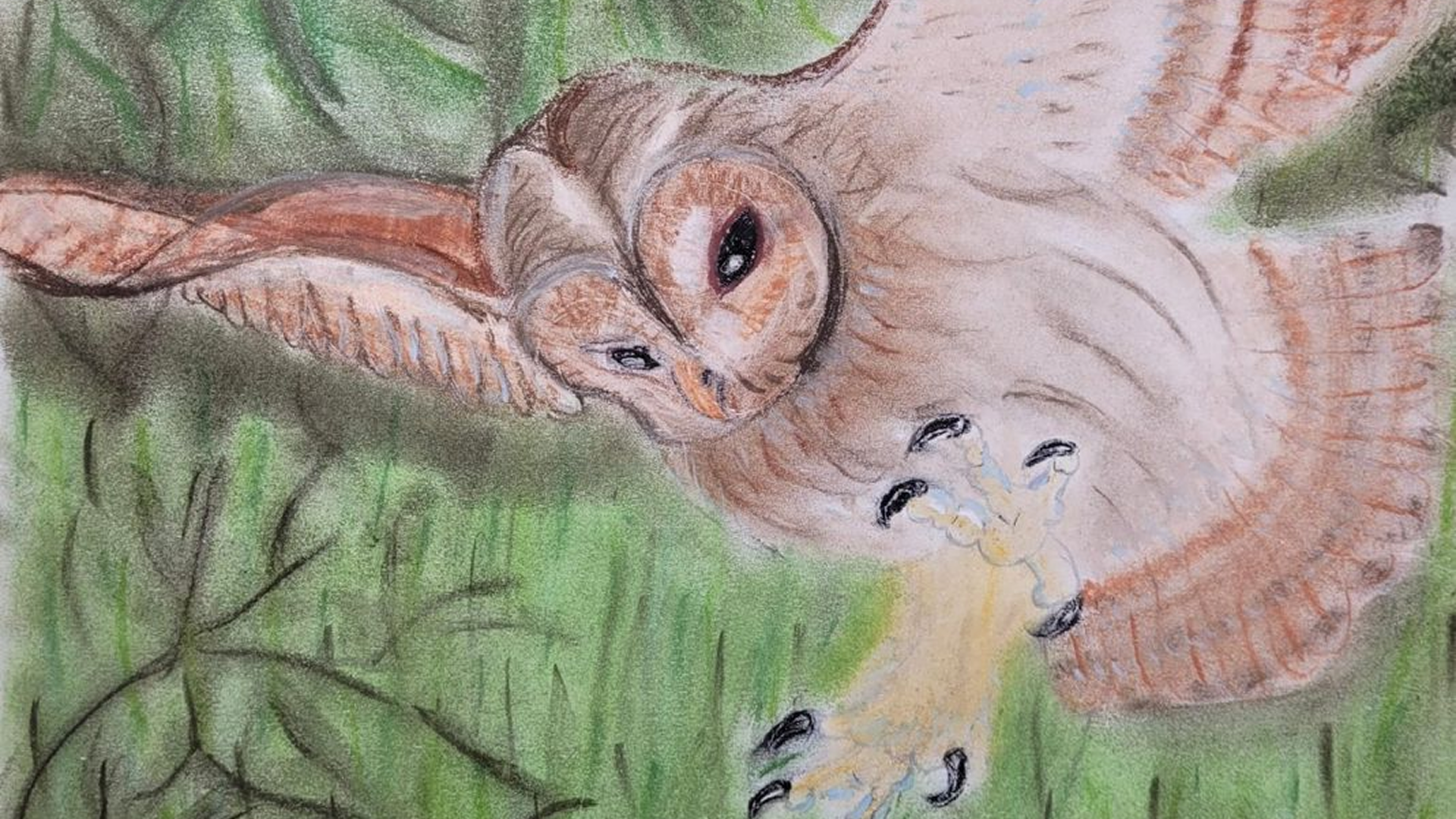 Beispielfoto 2 (Nachher)