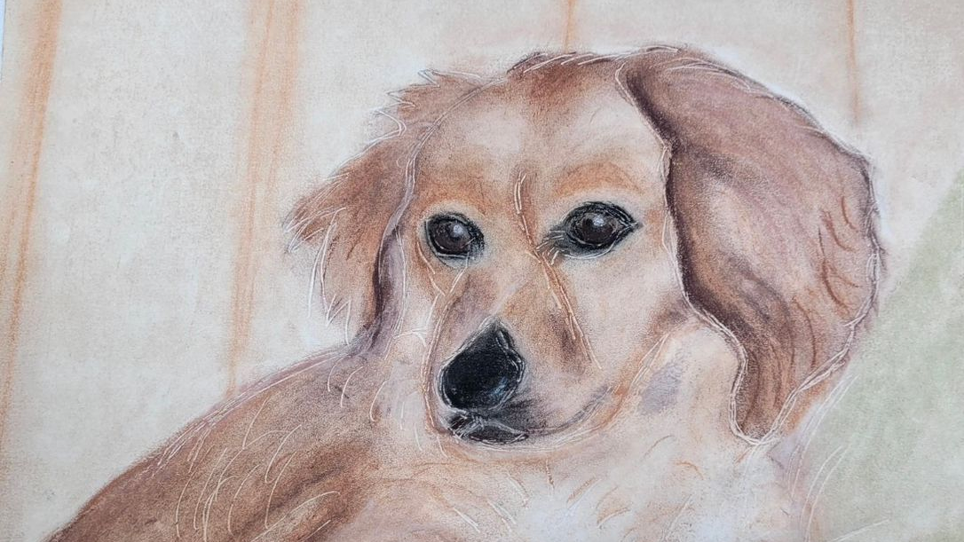 Beispielfoto 1 (Nachher)