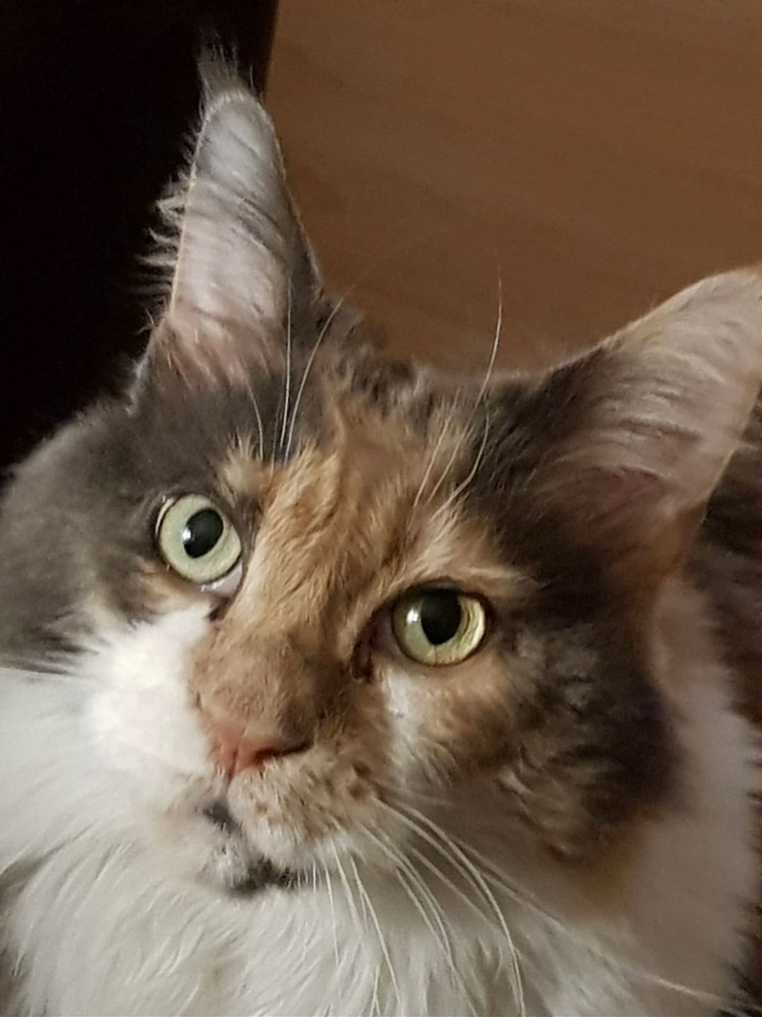 Beispielfoto 11 (Vorher)