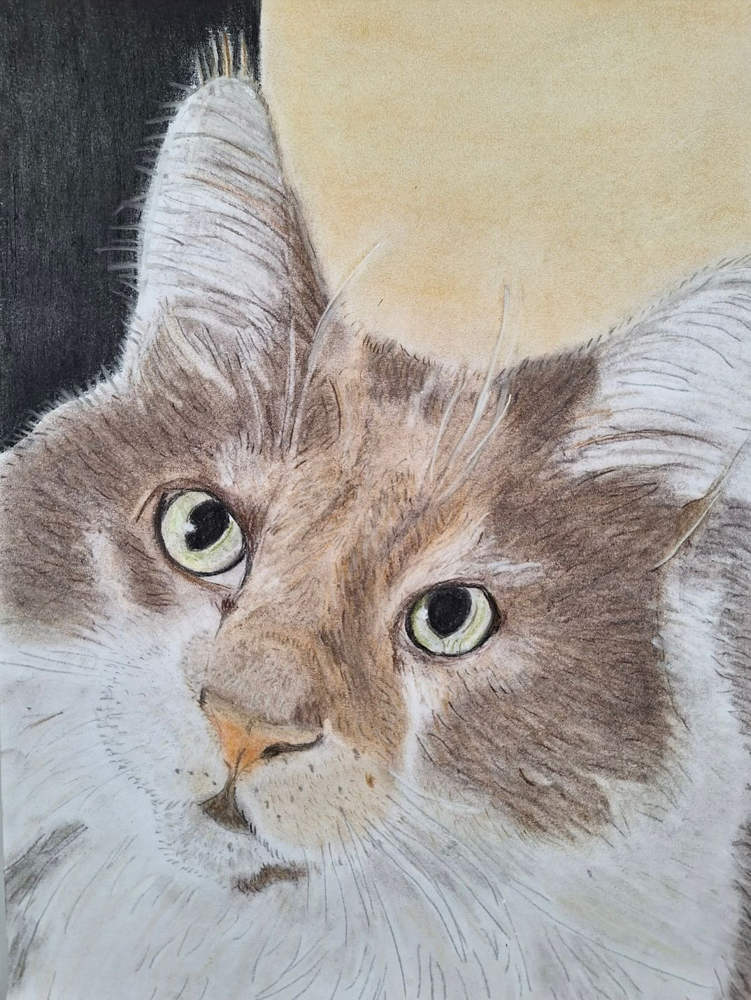 Beispielfoto 11 (Nachher)