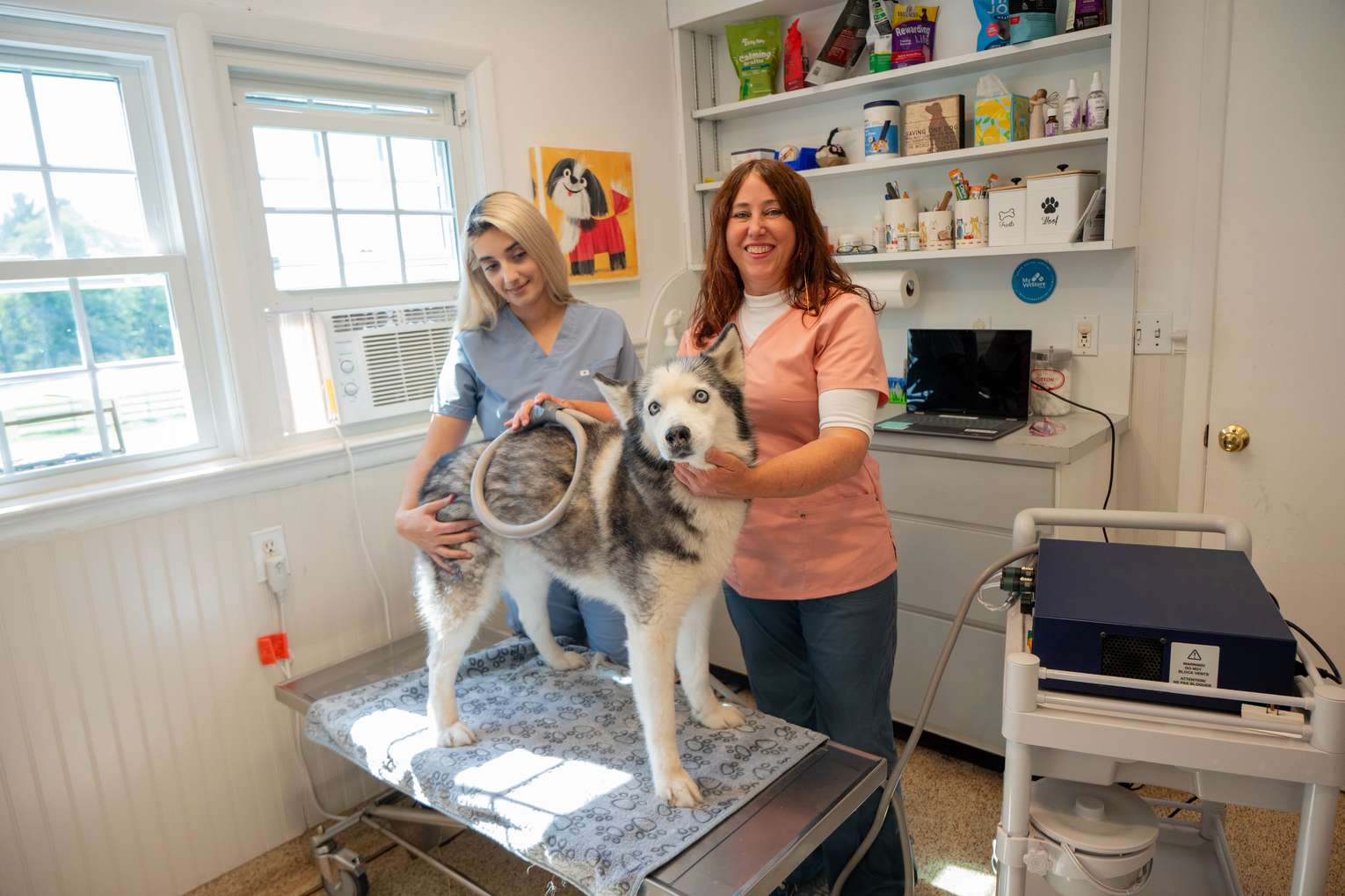 Readington Animal Hospital team caring for a dog patient