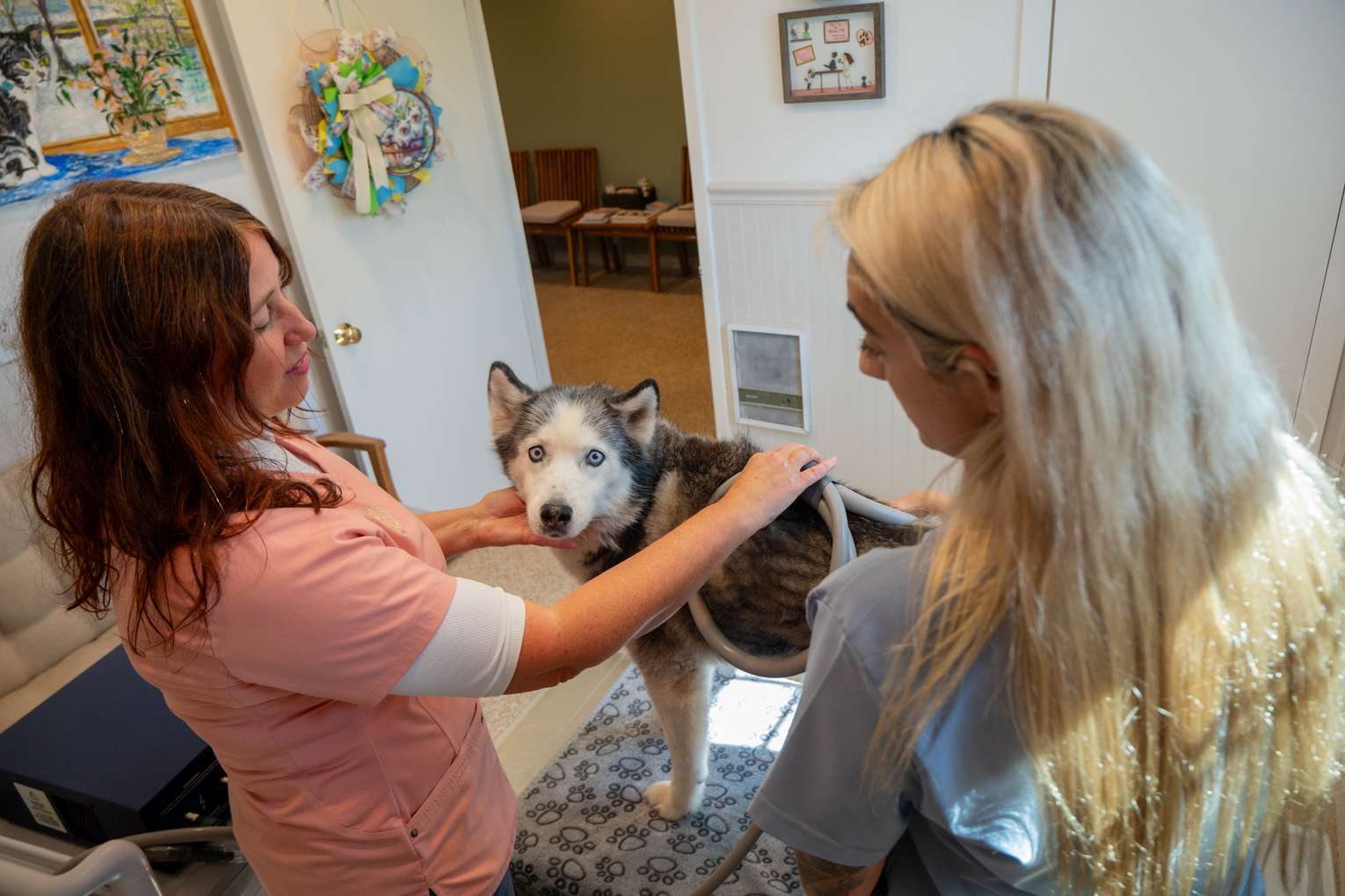 Calm dog being comforted by Readington Animal Hospital staff