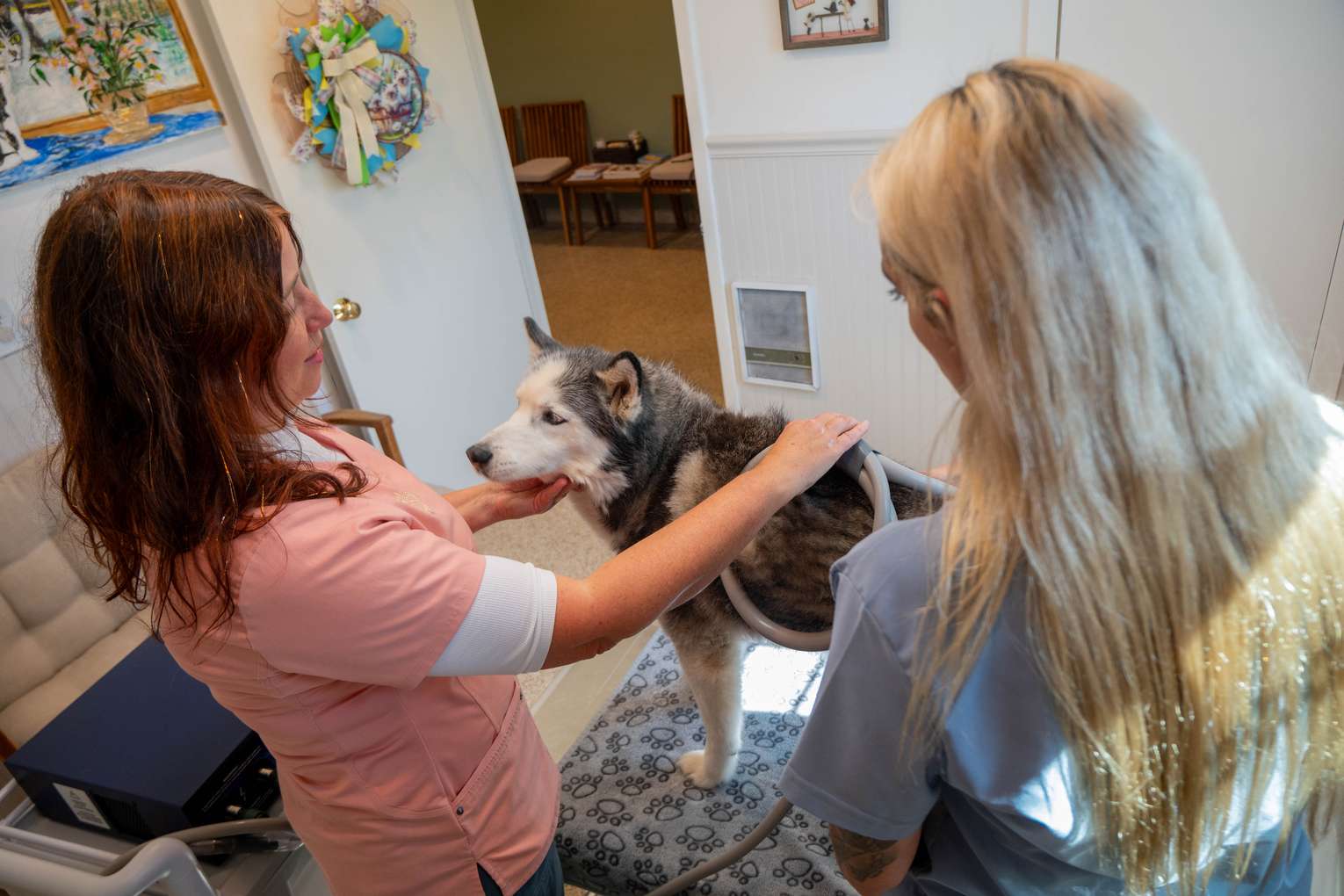 Dog patient with the Readington Animal Hospital team