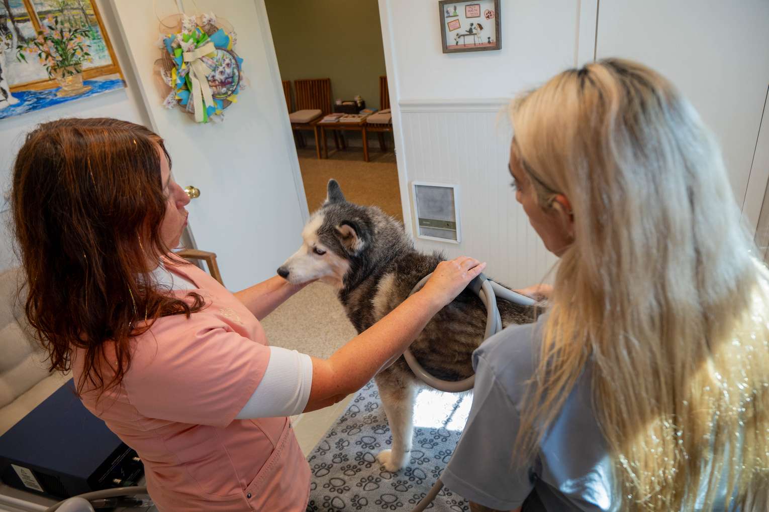 Dog patient with the Readington Animal Hospital team