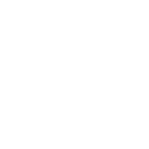 cleverly Icon in Weiß