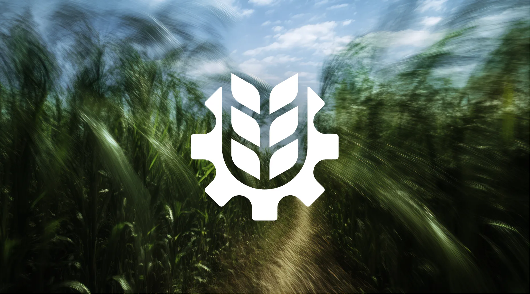 Smartphone screen showing a detailed nail care training course priced at 250 euros with listed topics and a button to book the education.