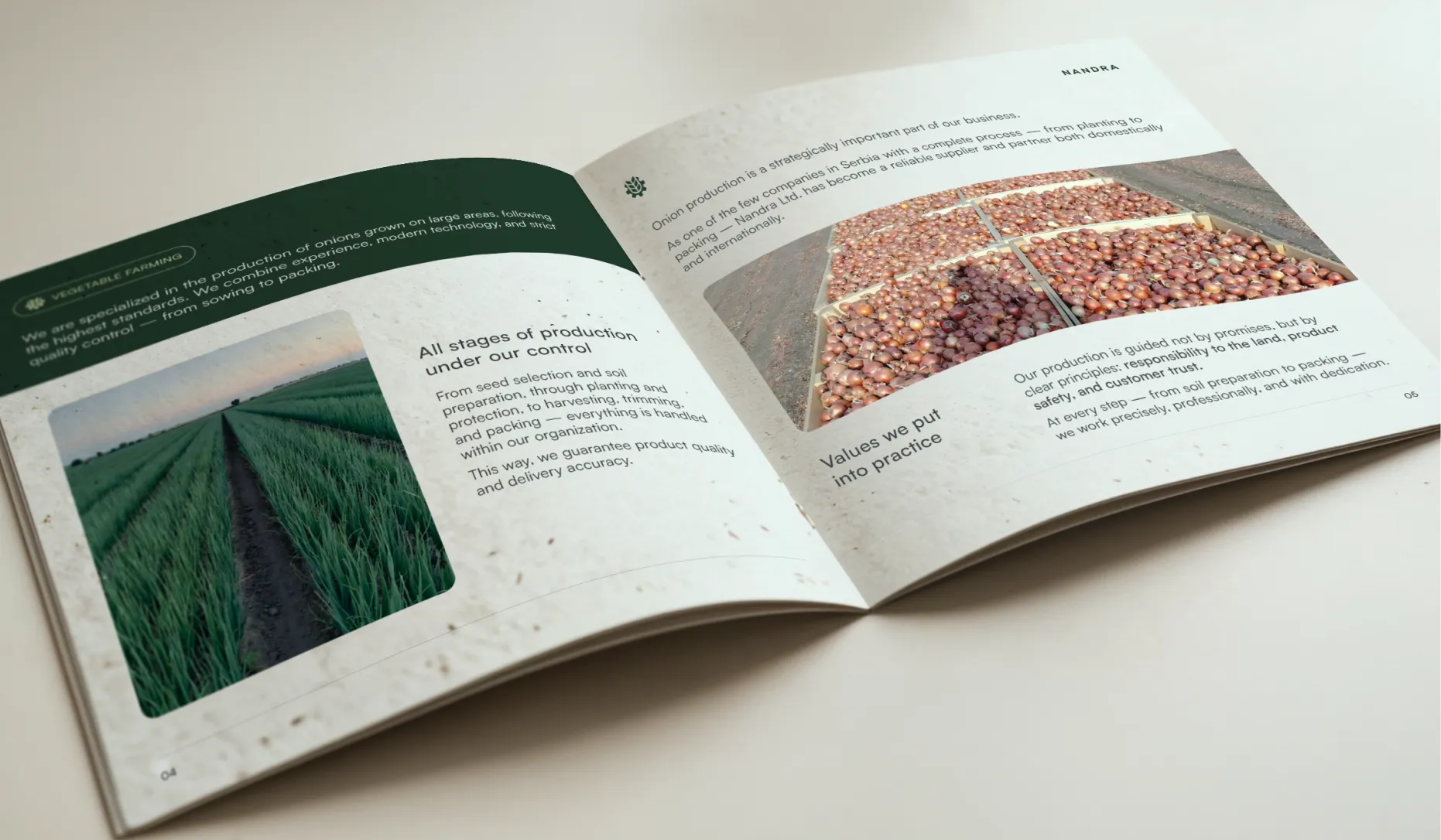 Open brochure showing information on vegetable farming with images of green onion fields and harvested onions in crates.