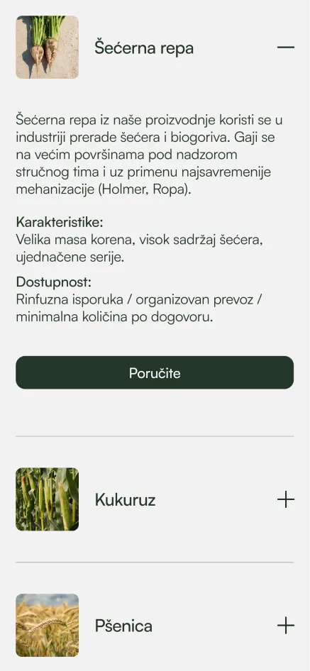 Sugar beets with green tops on soil, accompanied by text describing their industrial use, characteristics, and availability in Serbian language.