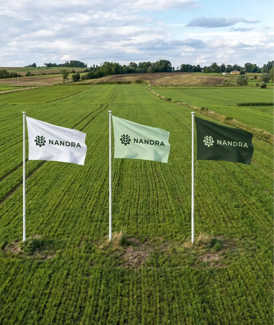 Three flags with the Nandra logo in white, light green, and dark green, flying on poles planted in a green field under a partly cloudy sky.