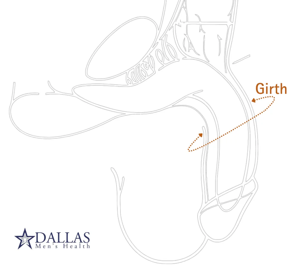 Diagram of male genital anatomy highlighting the girth measurement, with a focus on penile structure