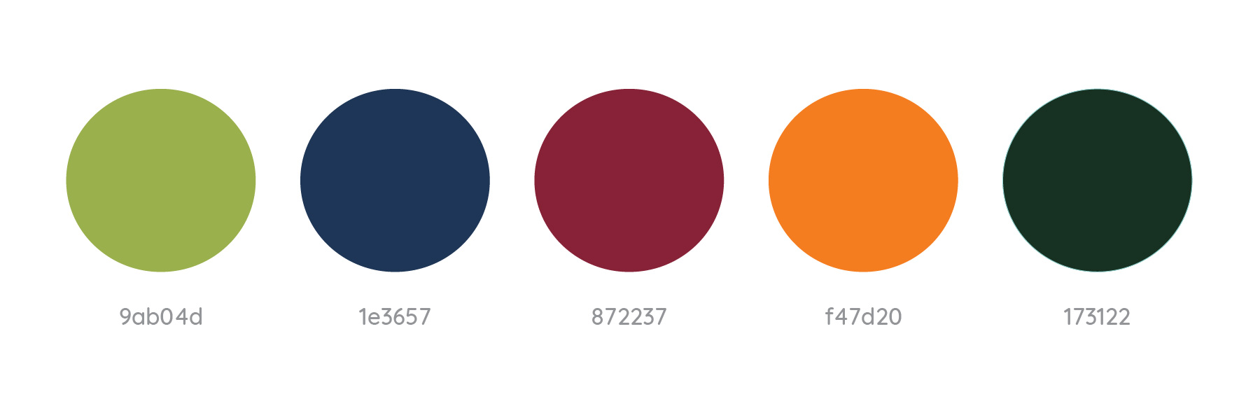 Color palette with five circles in olive green, navy blue, burgundy, bright orange, and dark forest green, each labeled with corresponding hex codes.