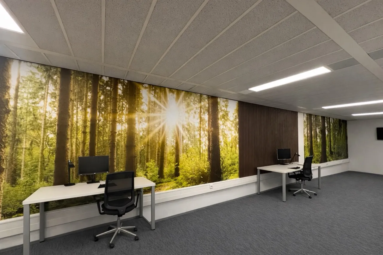 Modern kantoorinterieur met twee bureaus en stoelen voor grote muurschilderingen van zonovergoten bossen, met een verticale houten lamellenwand tussen de schilderingen.