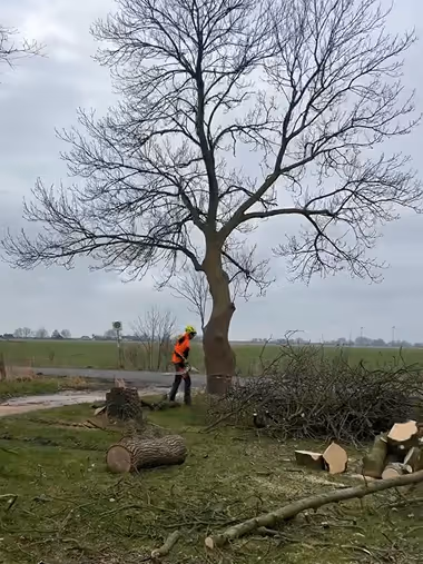 Ein Baumfäller mit Schutzhelm und oranger Schutzkleidung steht neben einem Baum.