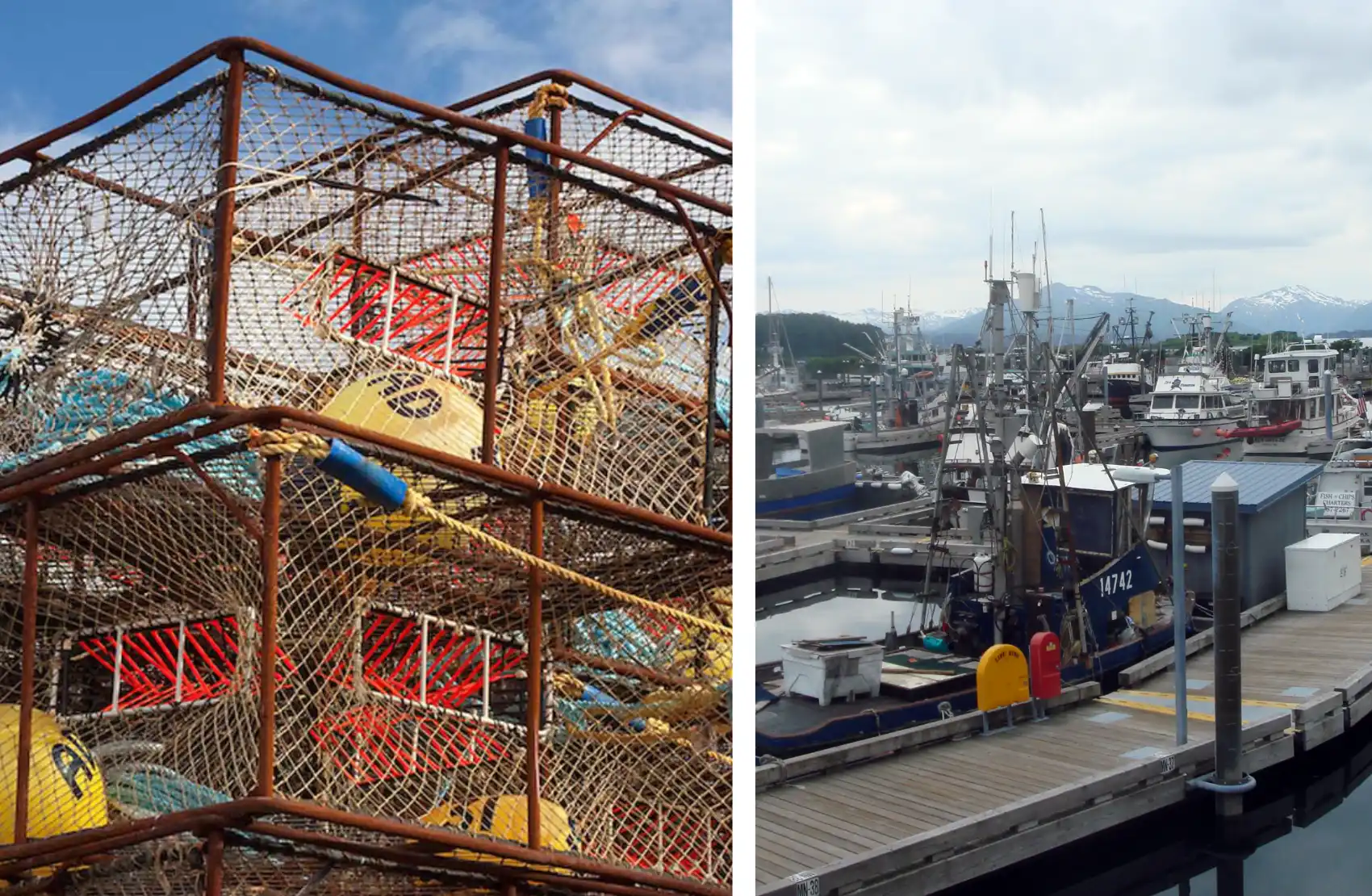 An image of rusty crab traps with bright yellow buoys and a second image of a fishing flee in the harbor.