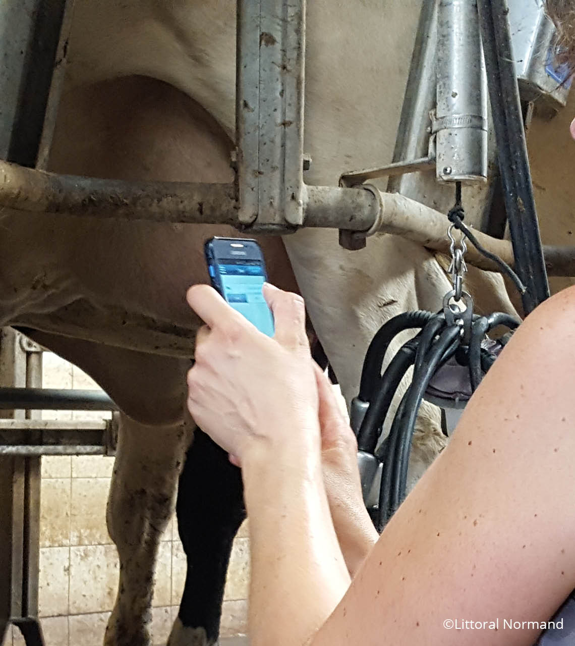 utilisation du smartphone en salle de traite