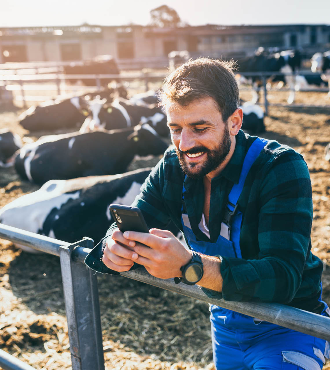 Eleveur consultant son smartphone