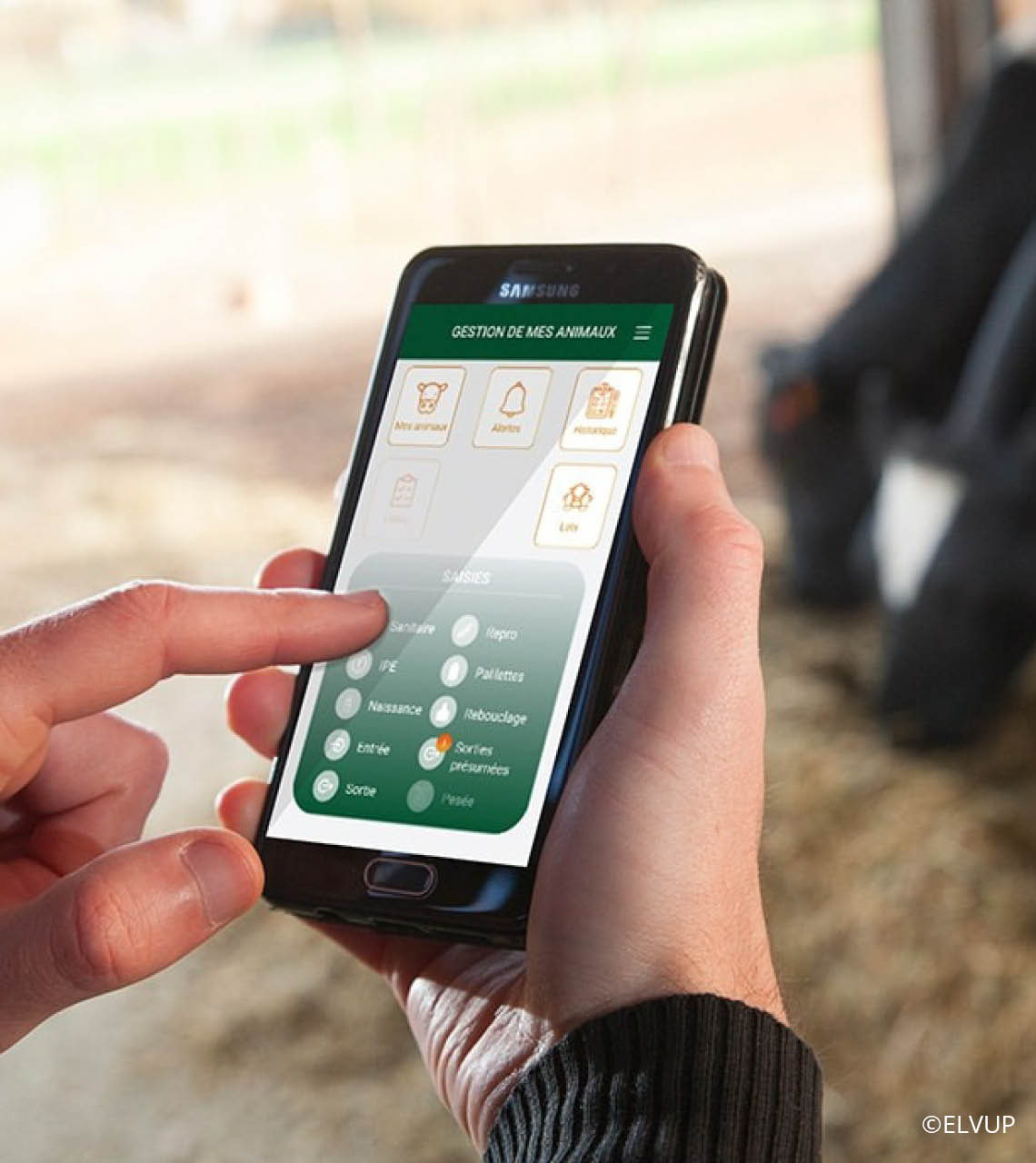 Application pilotelevage 2e génératiuon