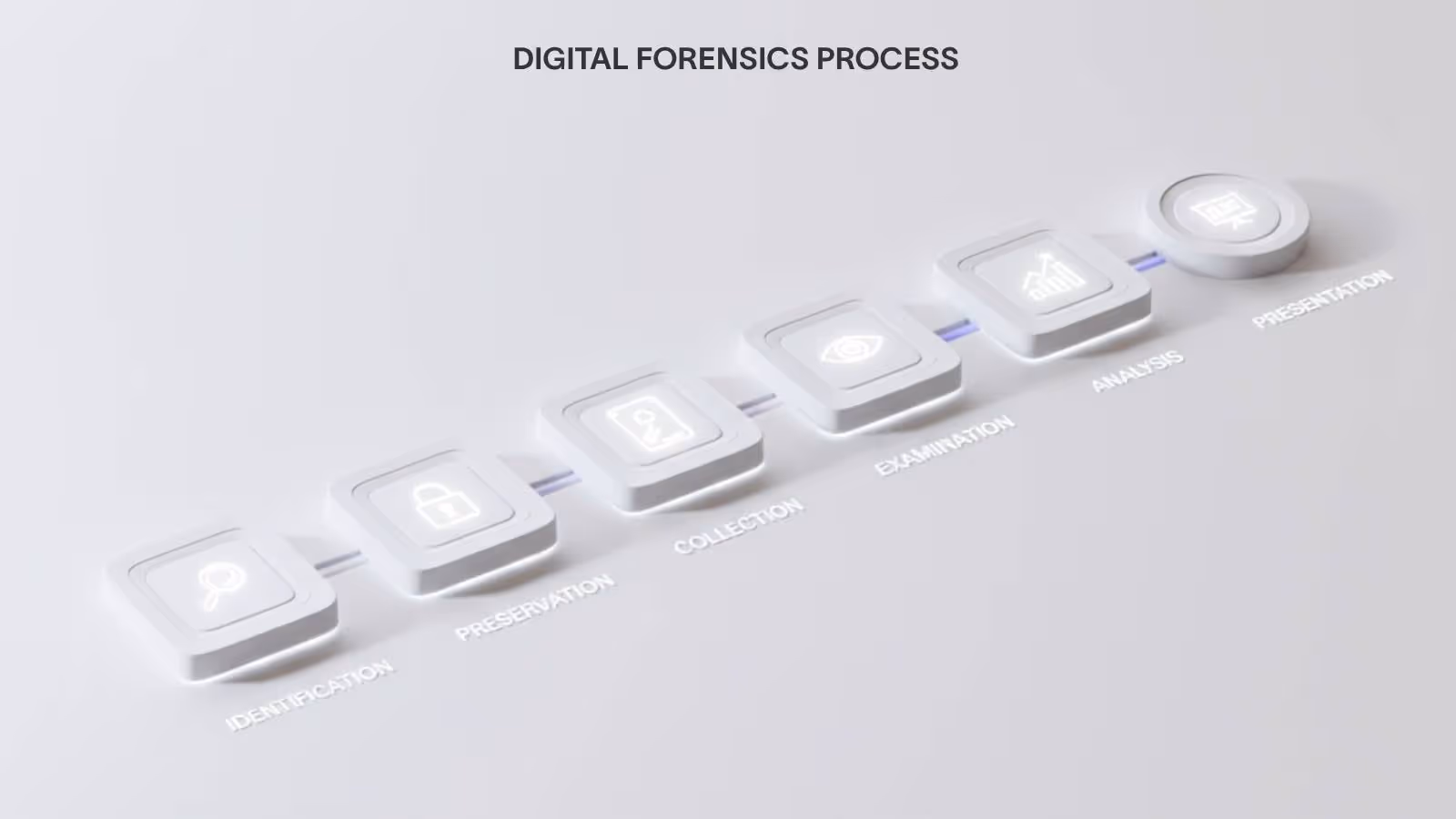 Digital forensics process infographic showing six sequential steps: Identification, Preservation, Collection, Examination, Analysis, and Presentation illustrated as 3D interactive cards with icons
