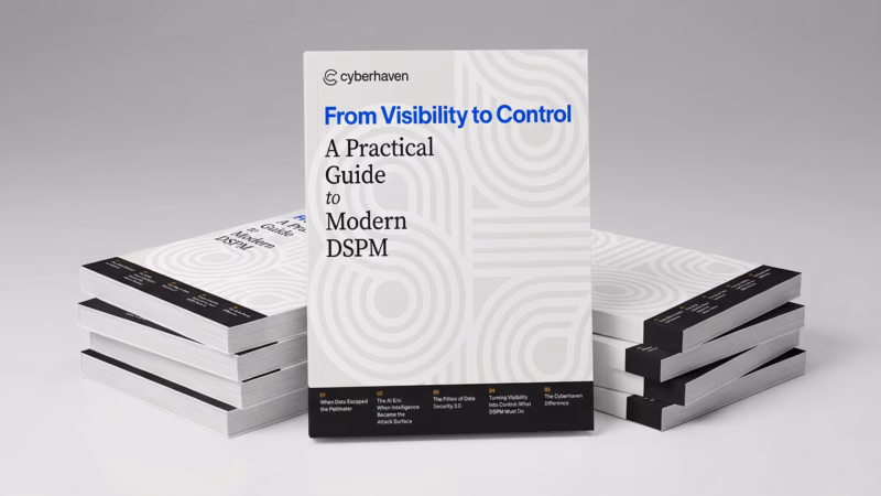 A Practical Guide to Modern DSPM ebook cover
