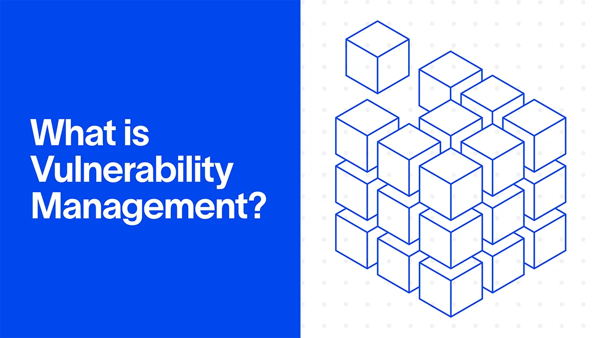 What is Vulnerability Management?