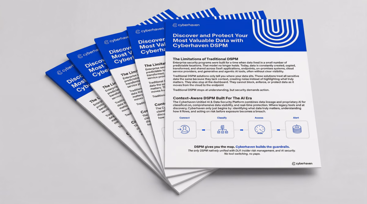 Cyberhaven DSPM Datasheet