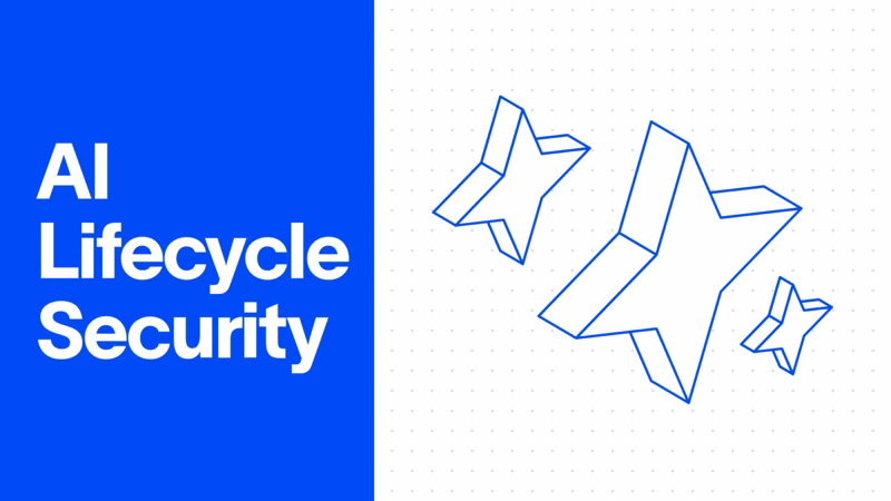 AI Lifecycle Security