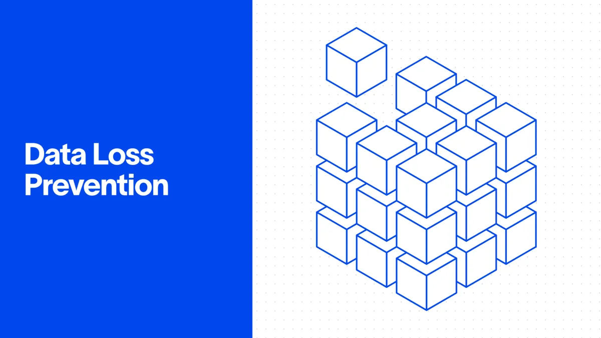 Data loss prevention (DLP)