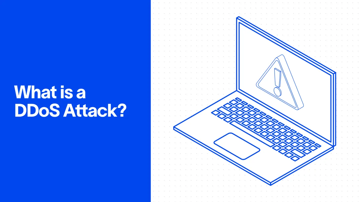 What is a DDoS Attack - Cyberhaven Infosec Essentials