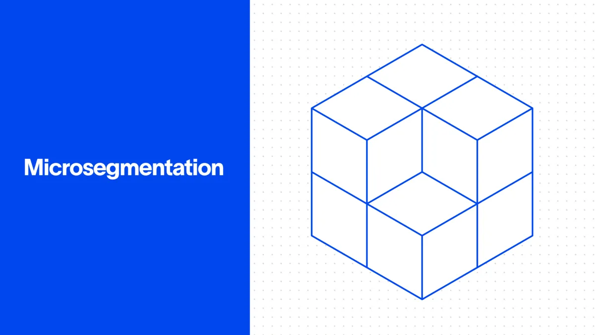 Microsegmentation: What It Is and How It Works