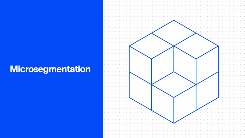 Microsegmentation: What It Is and How It Works