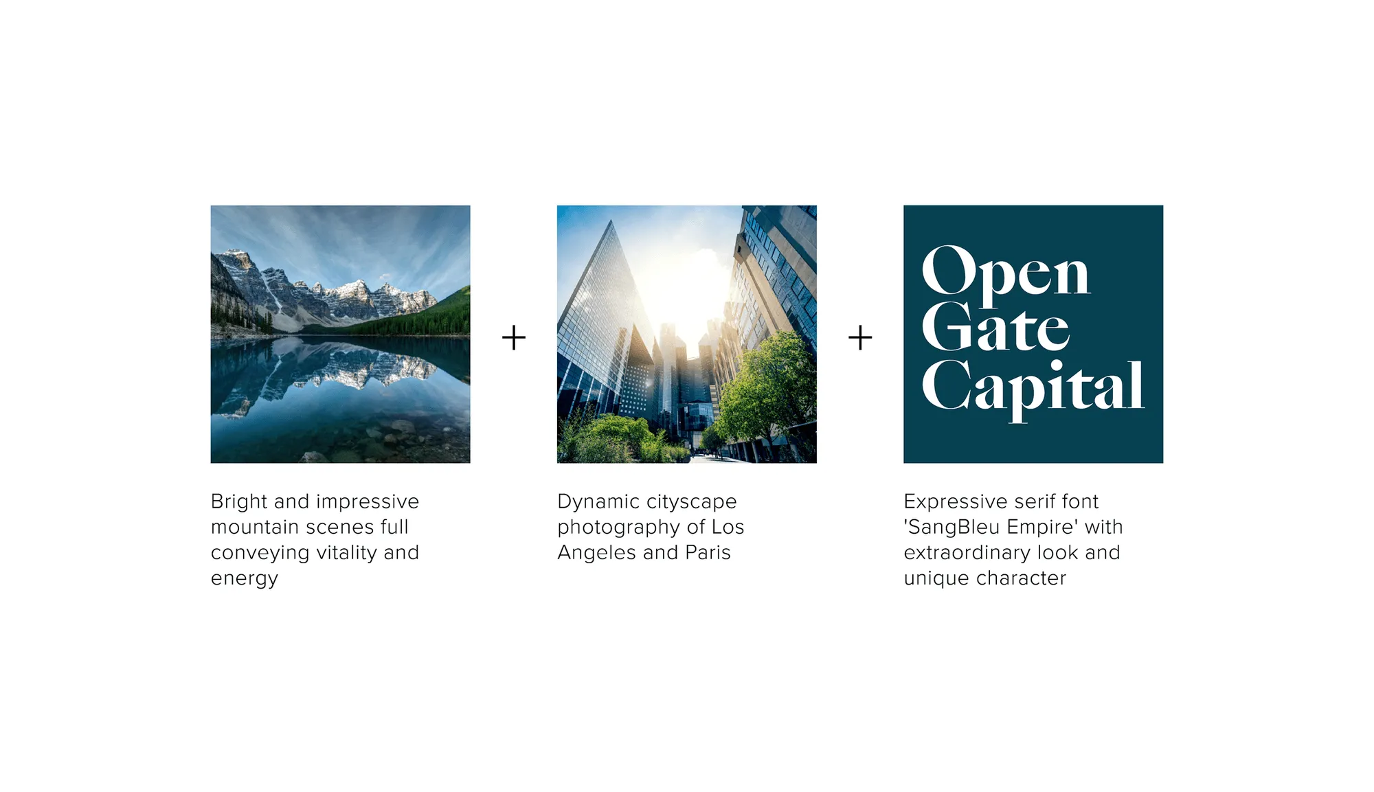 Open Gate Capital private equity branding