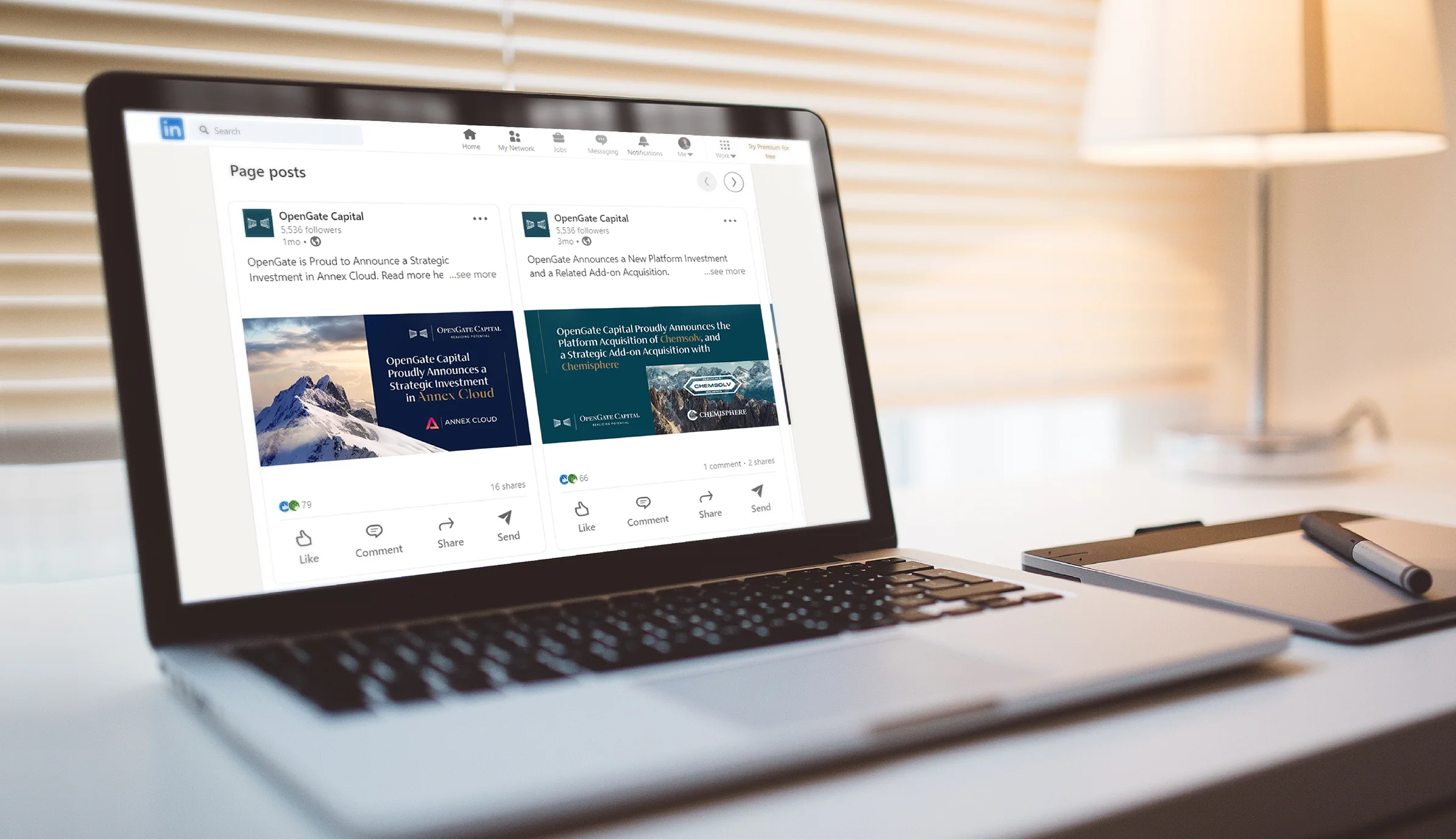 OpenGate Capital LinkedIn post branding