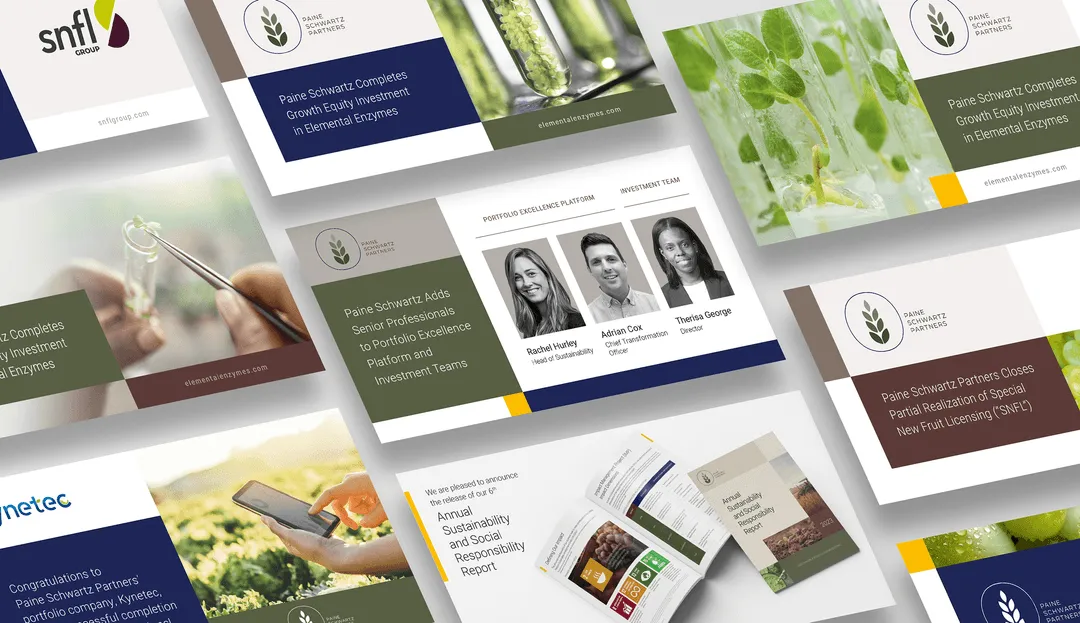 Paine Schwartz Partners private equity branding