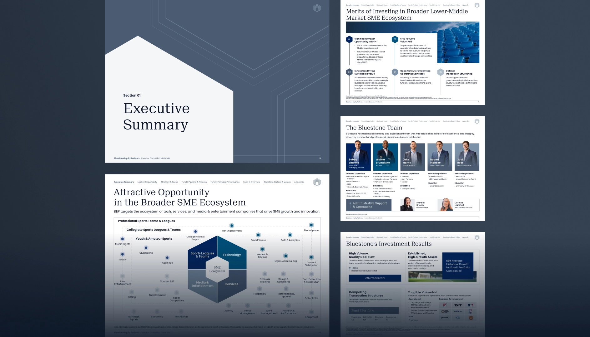 Corporate presentation slides showing Executive Summary, investment merits in SME ecosystem, Bluestone team profiles, and investment results with data charts.