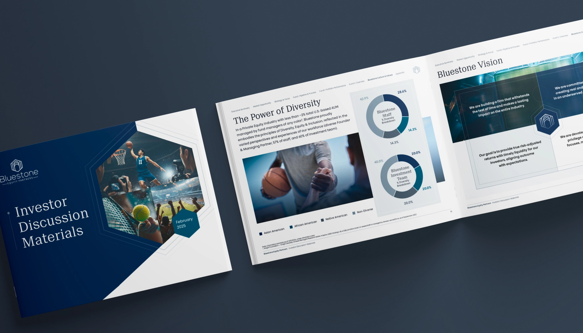 Bluestone investor discussion materials booklet open to pages on diversity power and Bluestone vision with charts and basketball images.