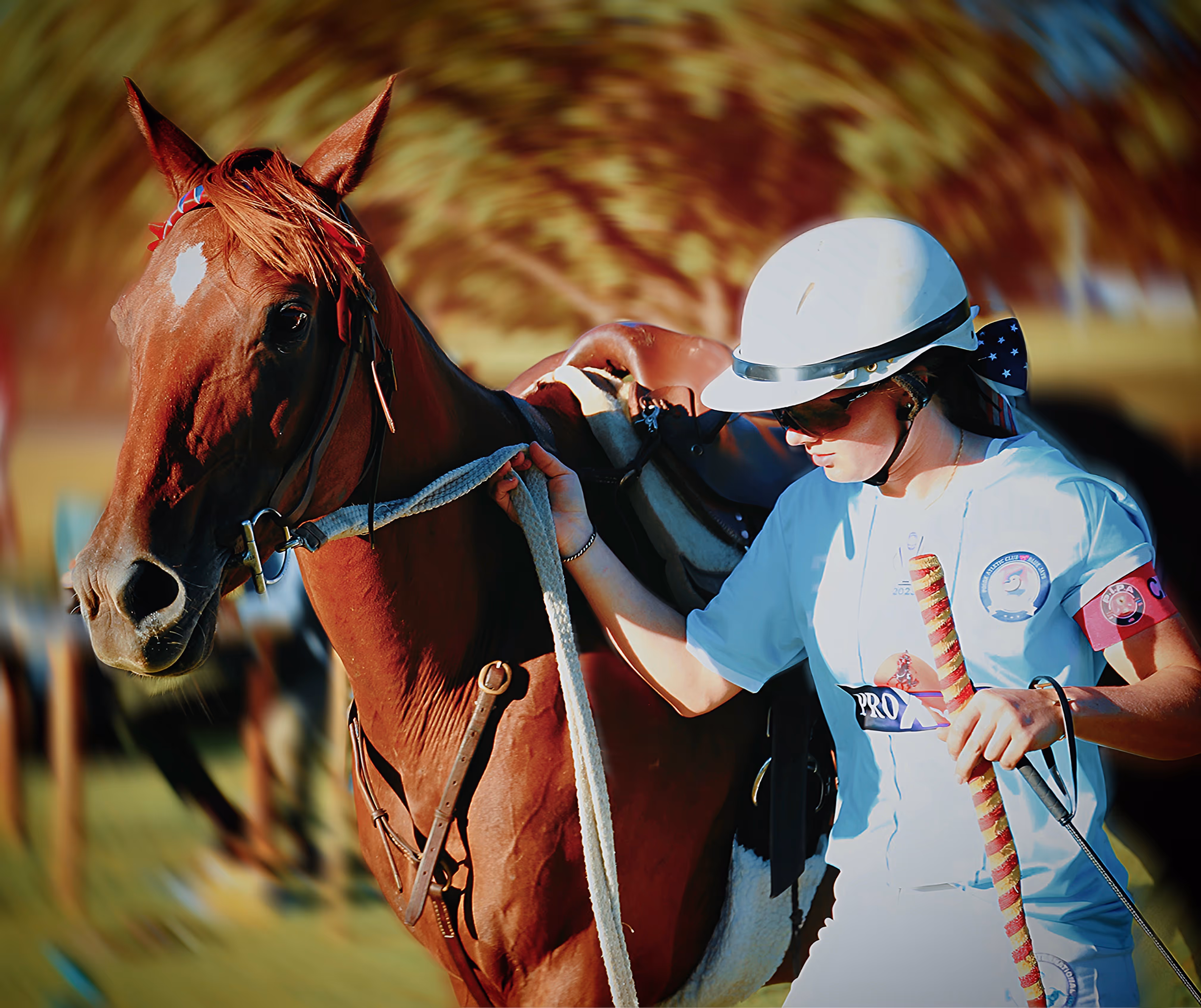 Eight Fan-Made Franchises, One National Movement