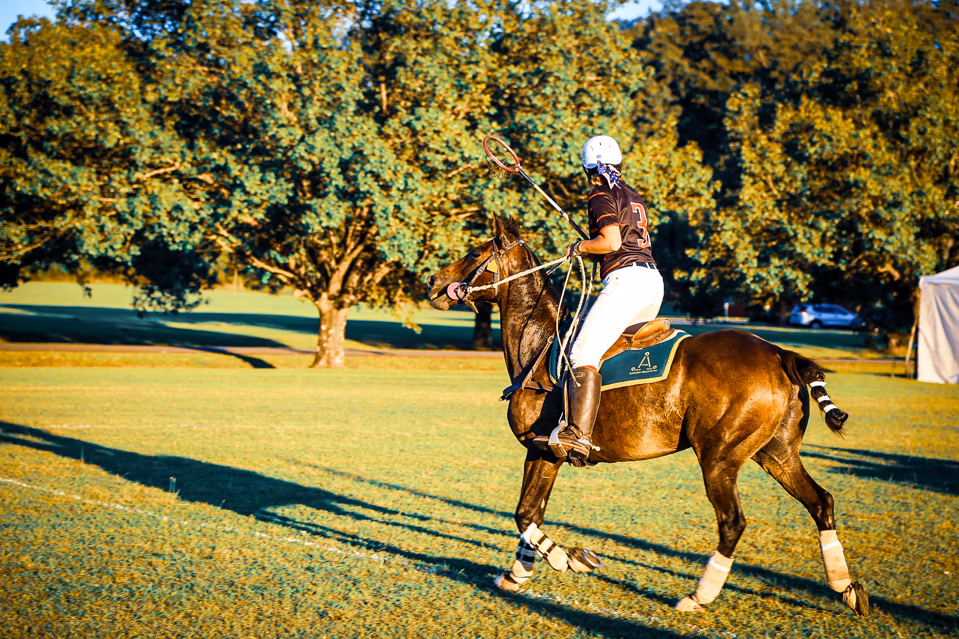 Inside the World of Polocrosse: Elegant but Bruising