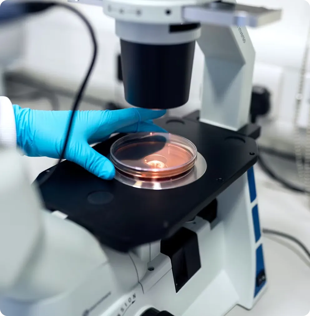 Gloved researcher placing a petri dish sample under a laboratory microscope
