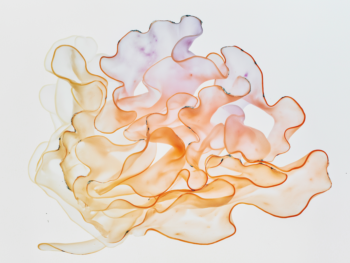 Abstract Fluid Forms