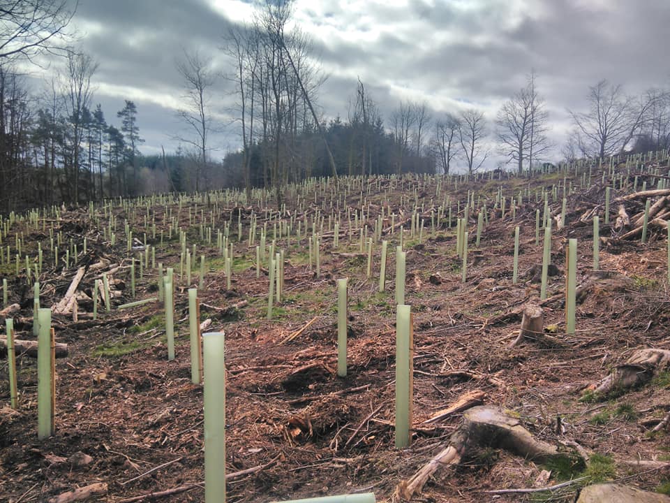 [background image] lush rainforest canopy with meandering river, for a travel agency