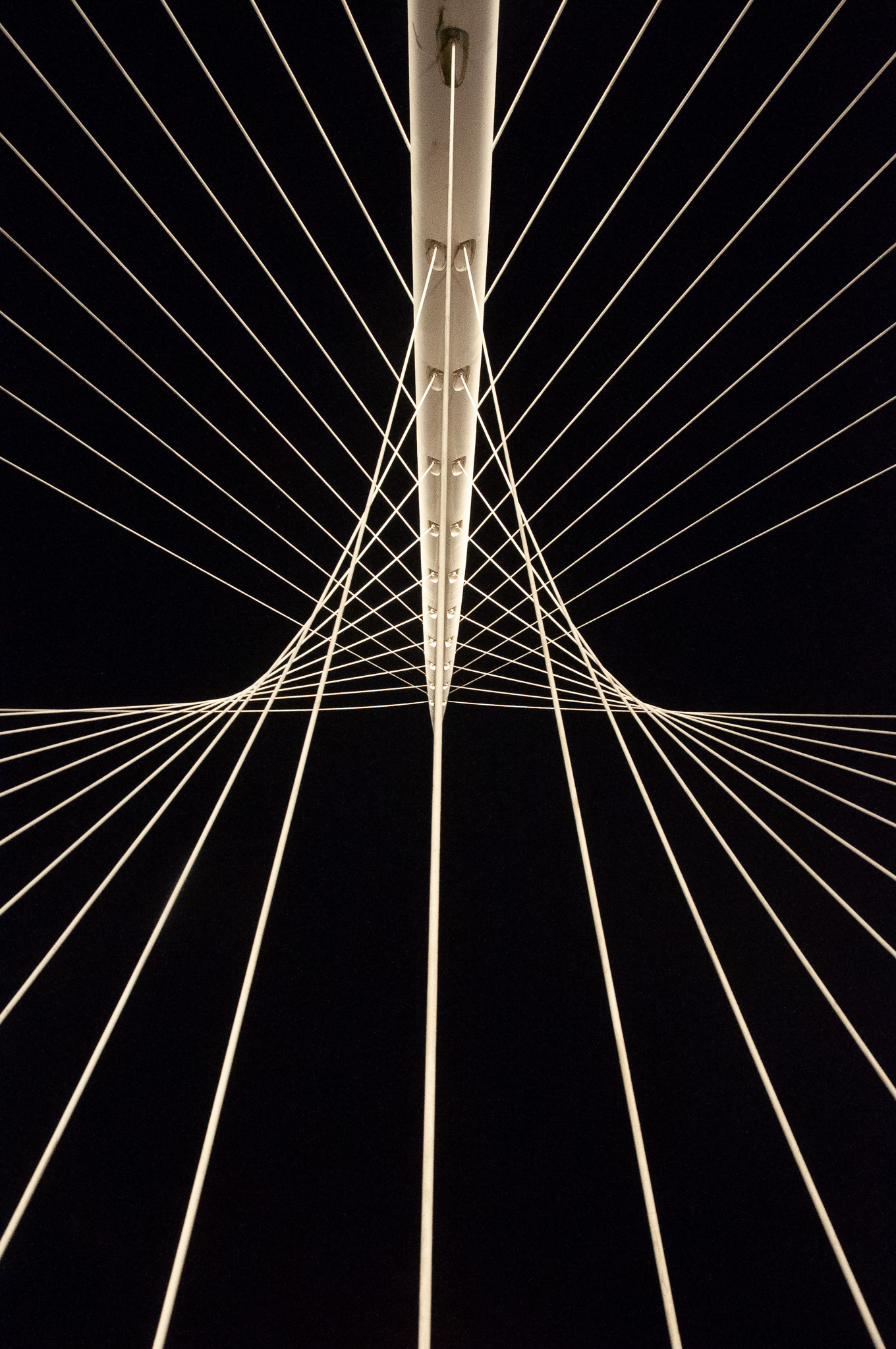 Close-up view from below of illuminated white suspension cables and central support beam of a modern bridge against a black night sky.