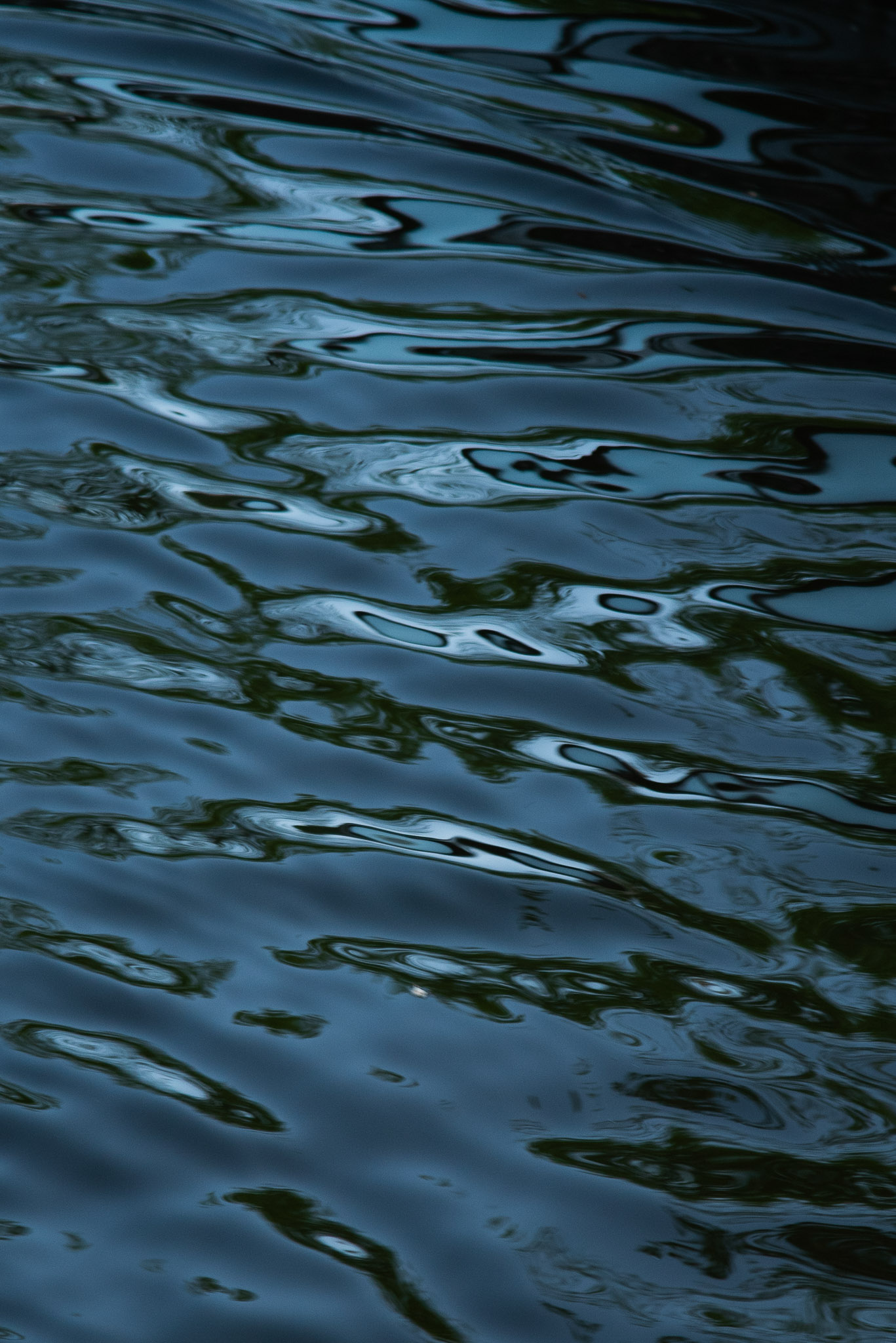 Close-up of dark water surface with light reflections and gentle ripples.