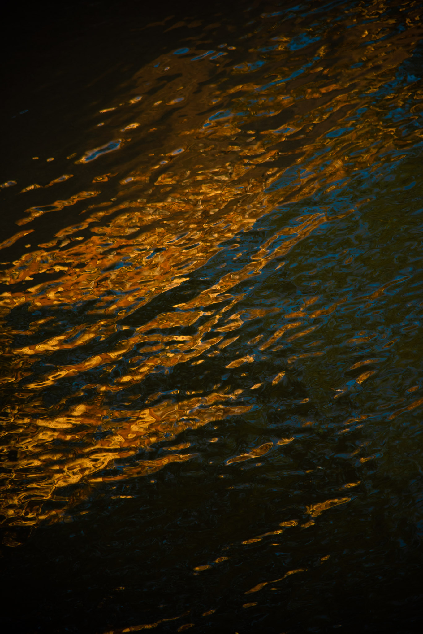 Golden light reflecting and rippling on the surface of dark water.