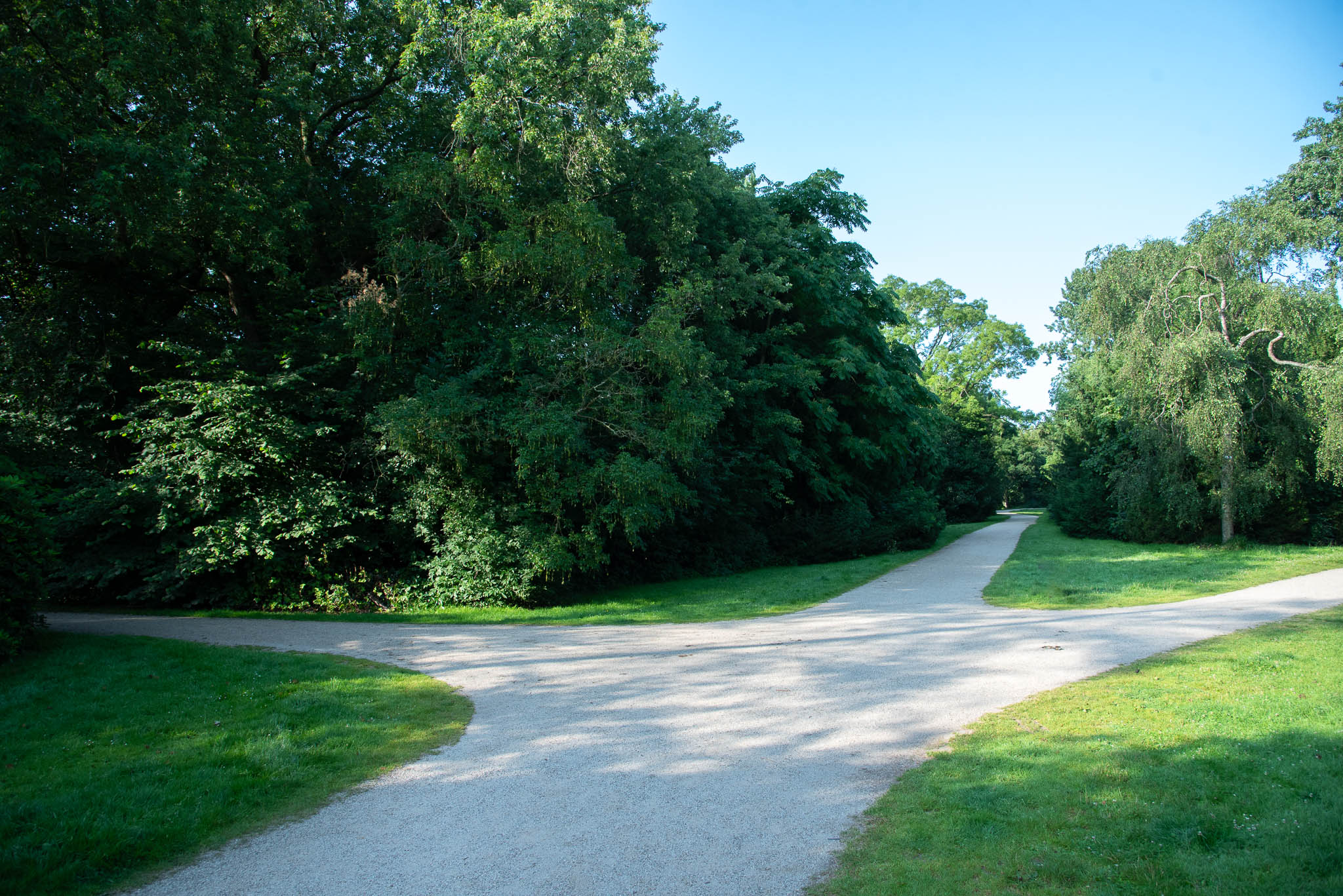 Gravel pathway in a park splitting into three directions surrounded by lush green trees and grass under a clear blue sky.