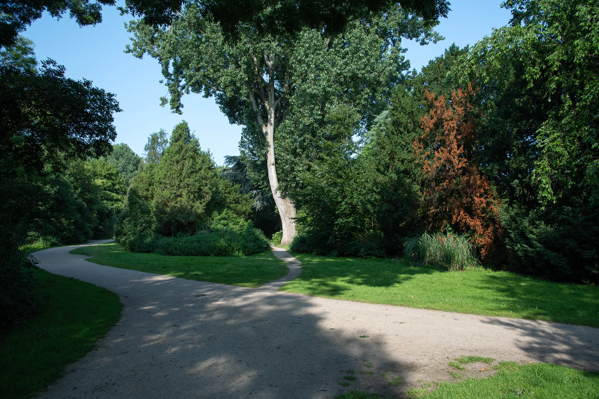 A forked gravel path in a green park surrounded by dense trees and shrubs under a clear blue sky.